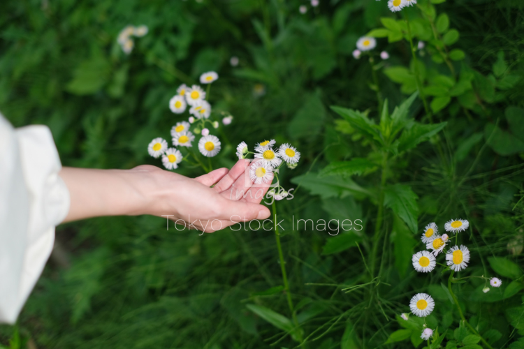 woman in rural area (8)