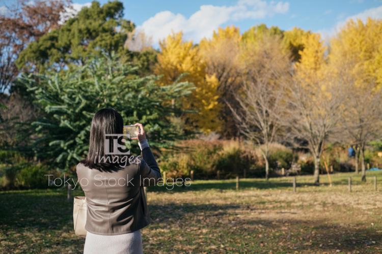 woman strolling in autumn city (13)